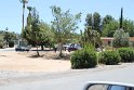 IMG_1592