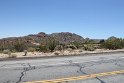 IMG_1595