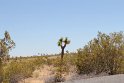 IMG_1600