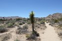 IMG_1608