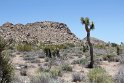 IMG_1610