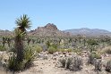 IMG_1611