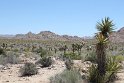 IMG_1612