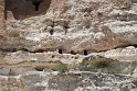 IMG_1665