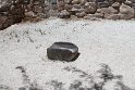 IMG_1667