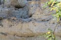 IMG_1670
