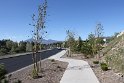 IMG_1686