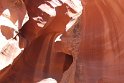IMG_1894