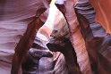 IMG_1900