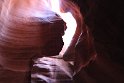 IMG_1907