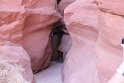 IMG_1955