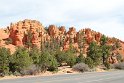 IMG_1971