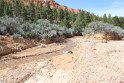 IMG_1974