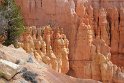 IMG_1992