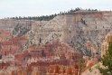IMG_1996