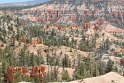IMG_2005