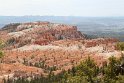 IMG_2011