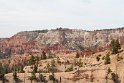 IMG_2012