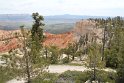 IMG_2021