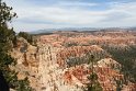 IMG_2026