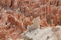 IMG_2028