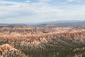 IMG_2036
