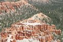 IMG_2037