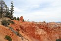 IMG_2041