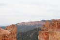 IMG_2042