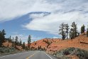 IMG_2054