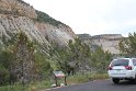 IMG_2061