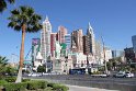 IMG_2120
