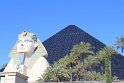 IMG_2130