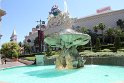 IMG_2171