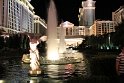 IMG_2229
