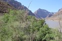 IMG_2271