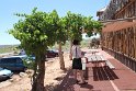IMG_2355