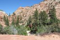 IMG_2368