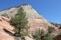 IMG_2372