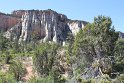 IMG_2375