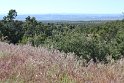 IMG_2378