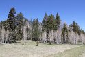 IMG_2386