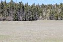 IMG_2389