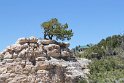 IMG_2421