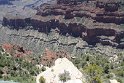 IMG_2425