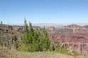 IMG_2432