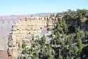 IMG_2445