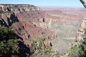 IMG_2447