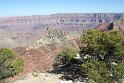 IMG_2455