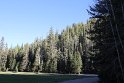 IMG_2467